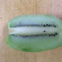 離乳食中期 後期 キウイフルーツの切り方 レシピ 作り方 By しゅむしゅむ 楽天レシピ 離乳食中期 後期 キウイフルーツの切り方 レシピ 作り方 By しゅむしゅむ 楽天レシピ